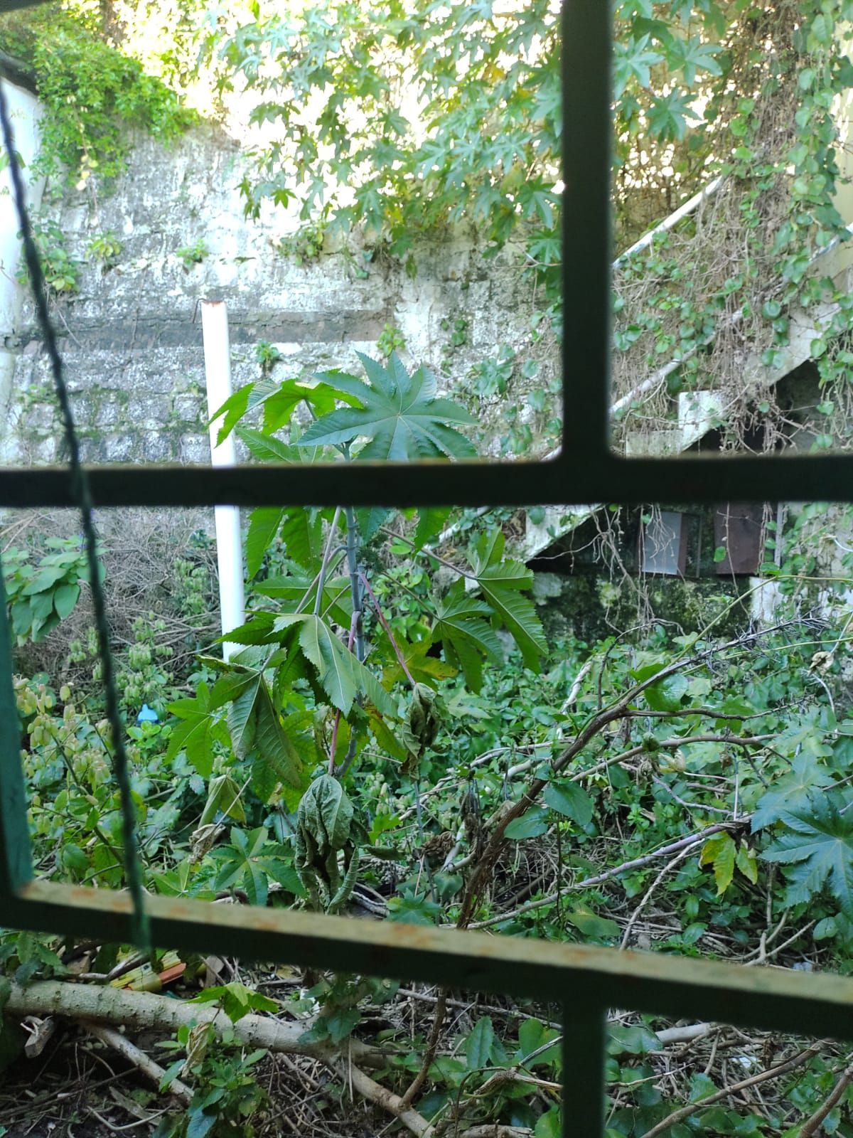 — foto 5