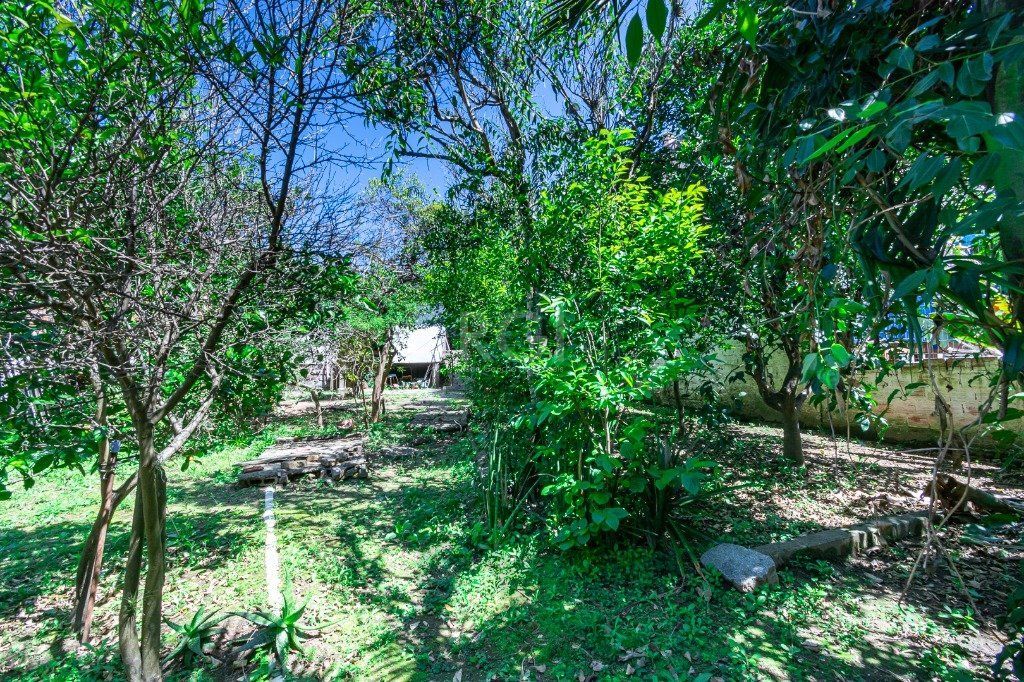 Casa de 3 dormitórios, 3 vagas no bairro Vila Ipiranga — foto 36