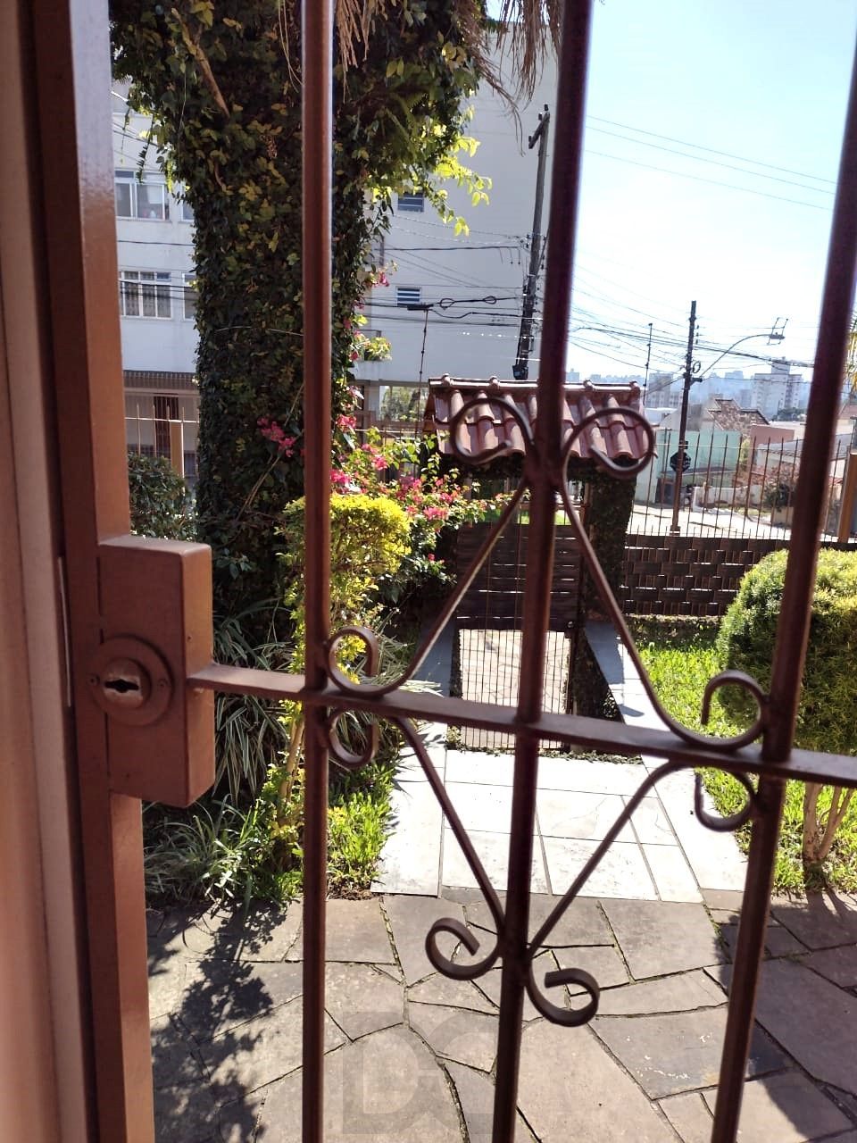 — foto 24