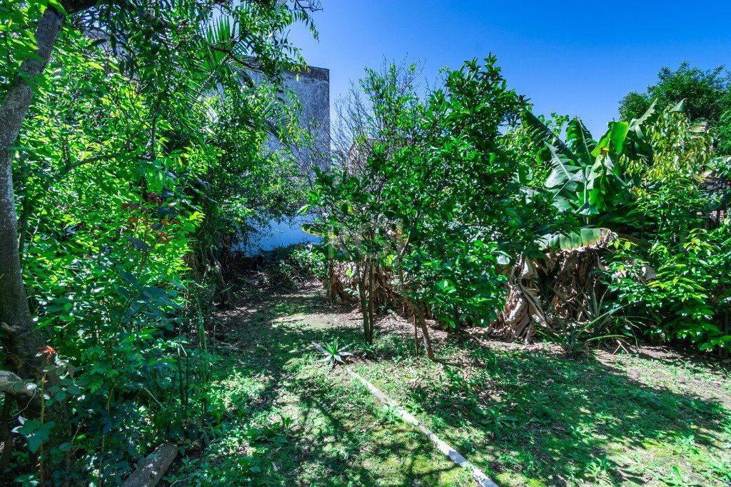 Casa de 3 dormitórios, 3 vagas no bairro Vila Ipiranga — foto 35