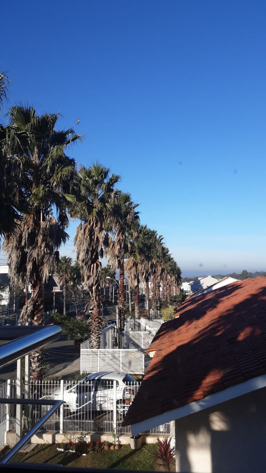Não deixe de conhecer esta preciosidade na Lomba do Pinheiro — foto 46