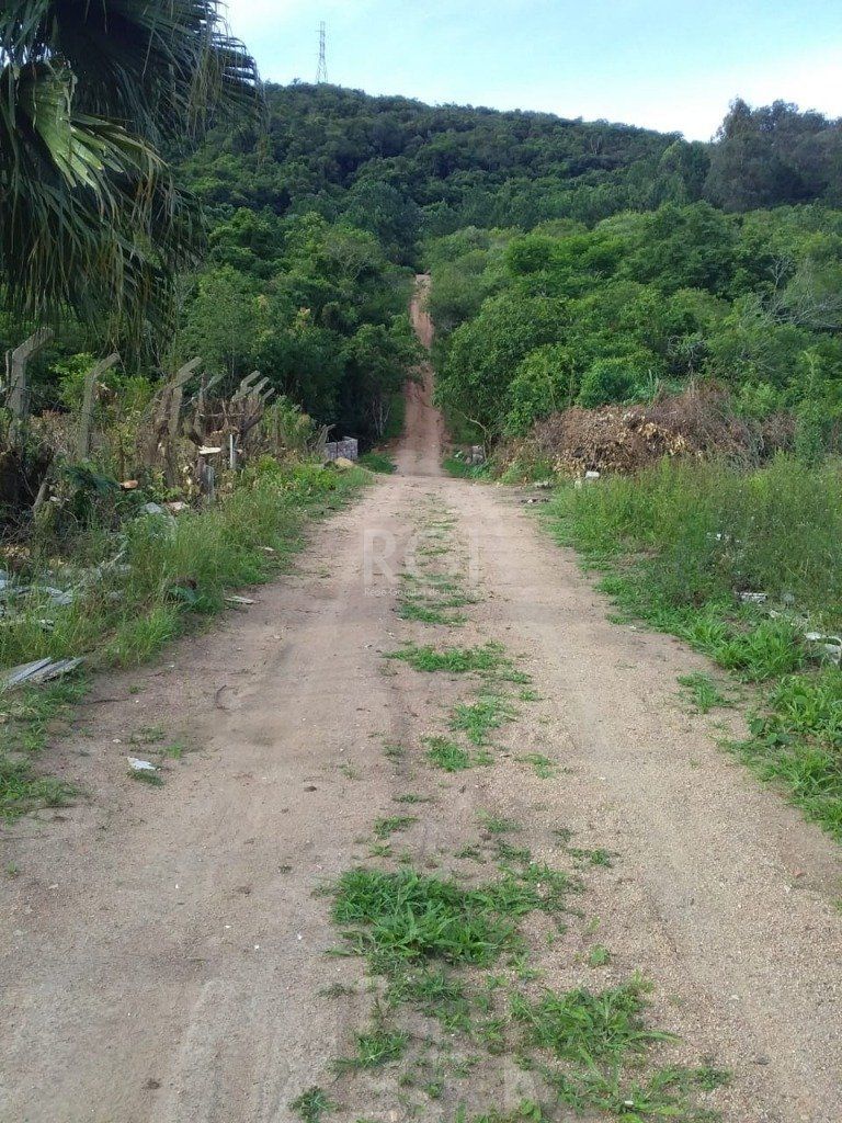 — foto 13