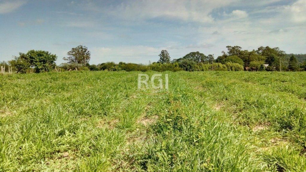 Sítio para Venda - 20060m² Zona Sul Lami — foto 5