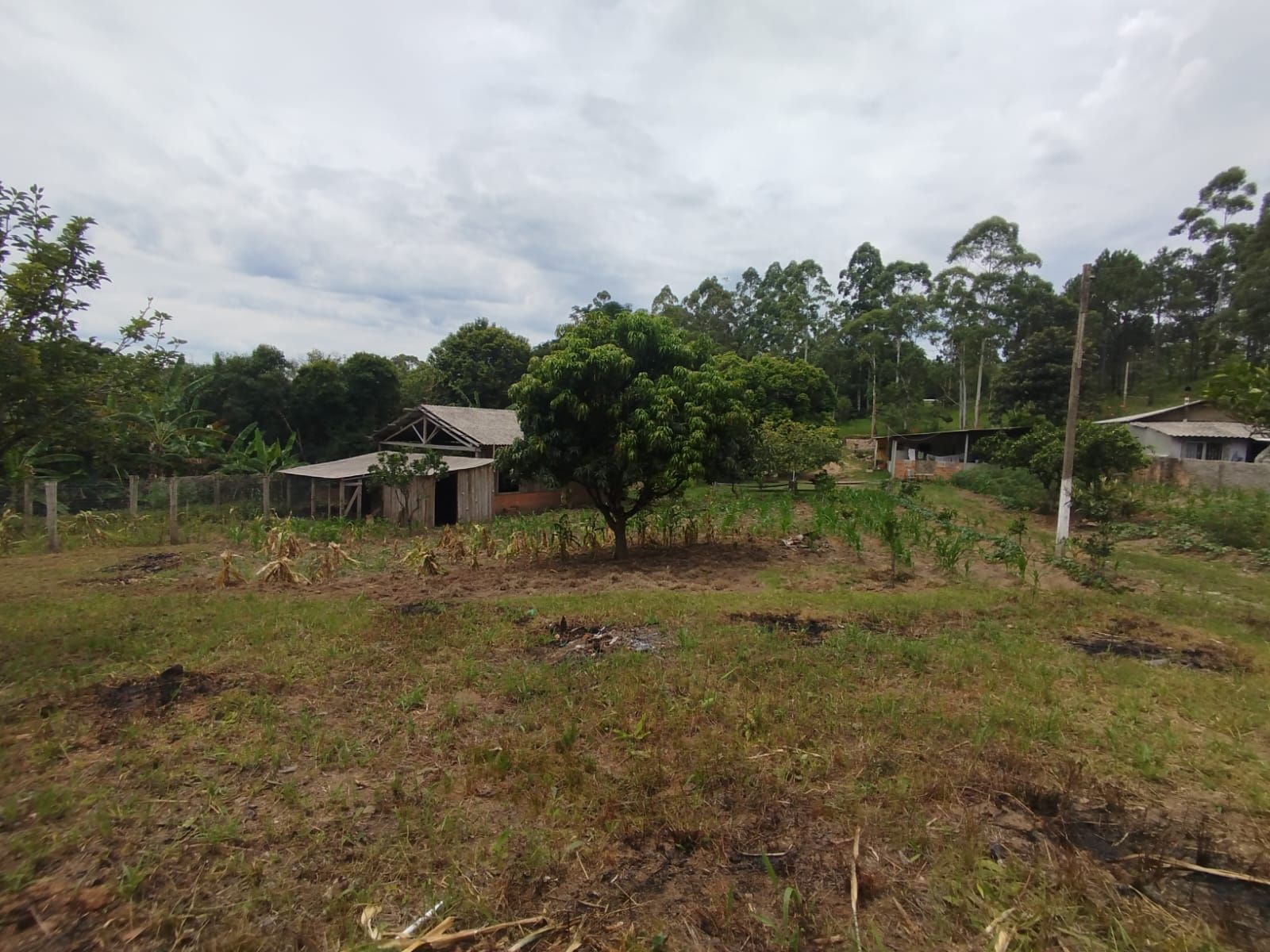 Chácara no bairro Restinga — foto 11