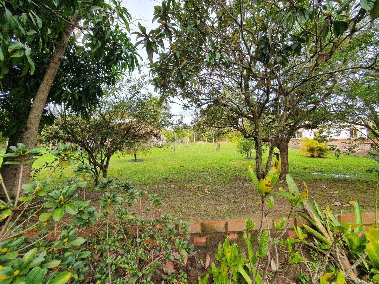 Sitio no bairro São Caetano em Porto Alegre — foto 59