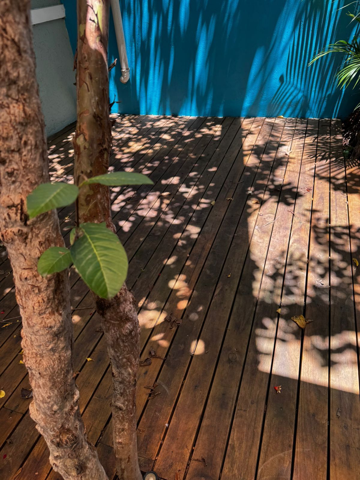 Casa Diferenciada no Moradas Do Sul — foto 14