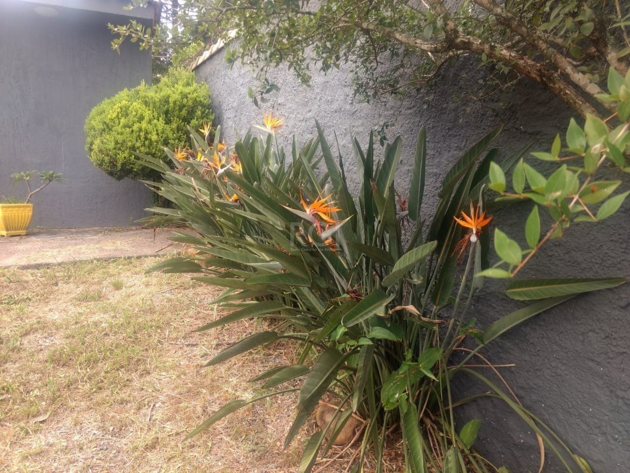 Terreno a venda no bairro Gloria - Av. Oscar Pereira — foto 23
