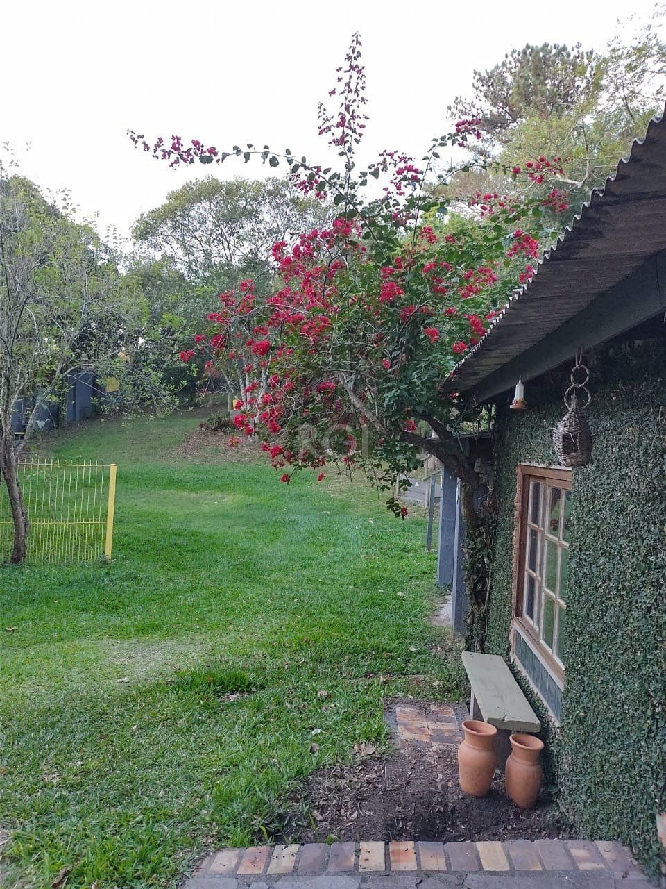 Terreno a venda no bairro Gloria - Av. Oscar Pereira — foto 31