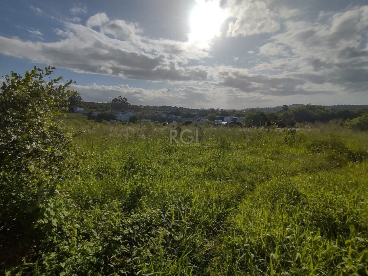 Área de terras no bairro Campo Novo — foto 9