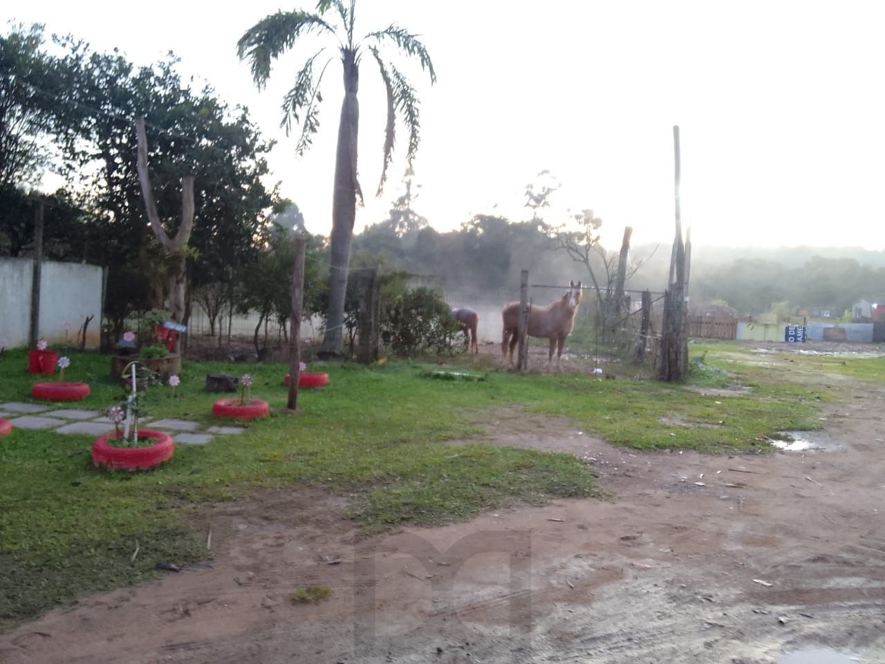 Sítio no Rincão — foto 11