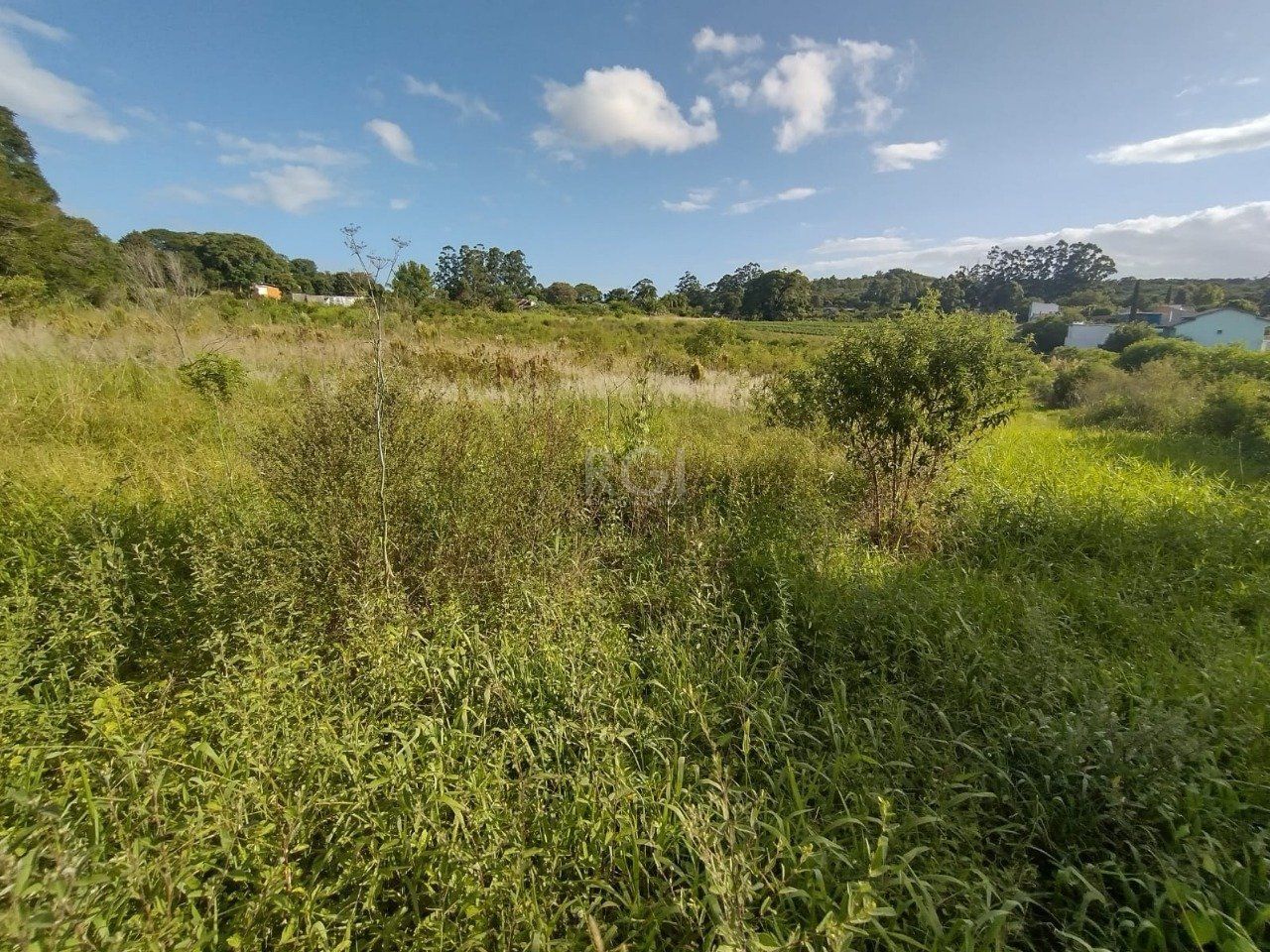 Área de terras no bairro Campo Novo — foto 11