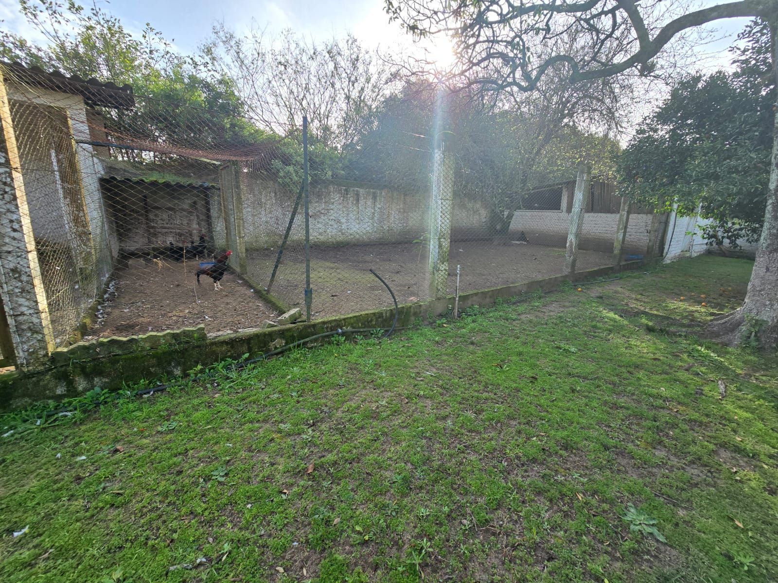 Sitio na Restinga com 2 casas e ótima oportunidade para investimento — foto 21