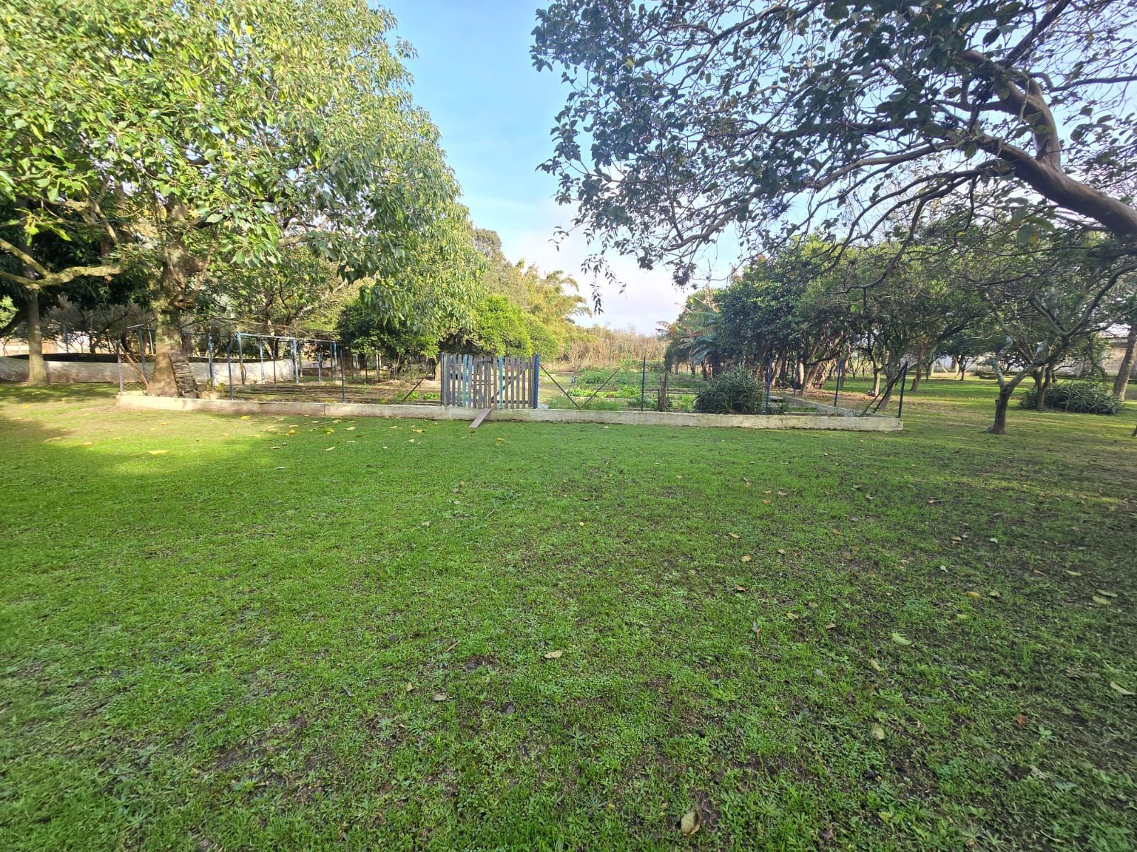 Sitio na Restinga com 2 casas e ótima oportunidade para investimento — foto 19