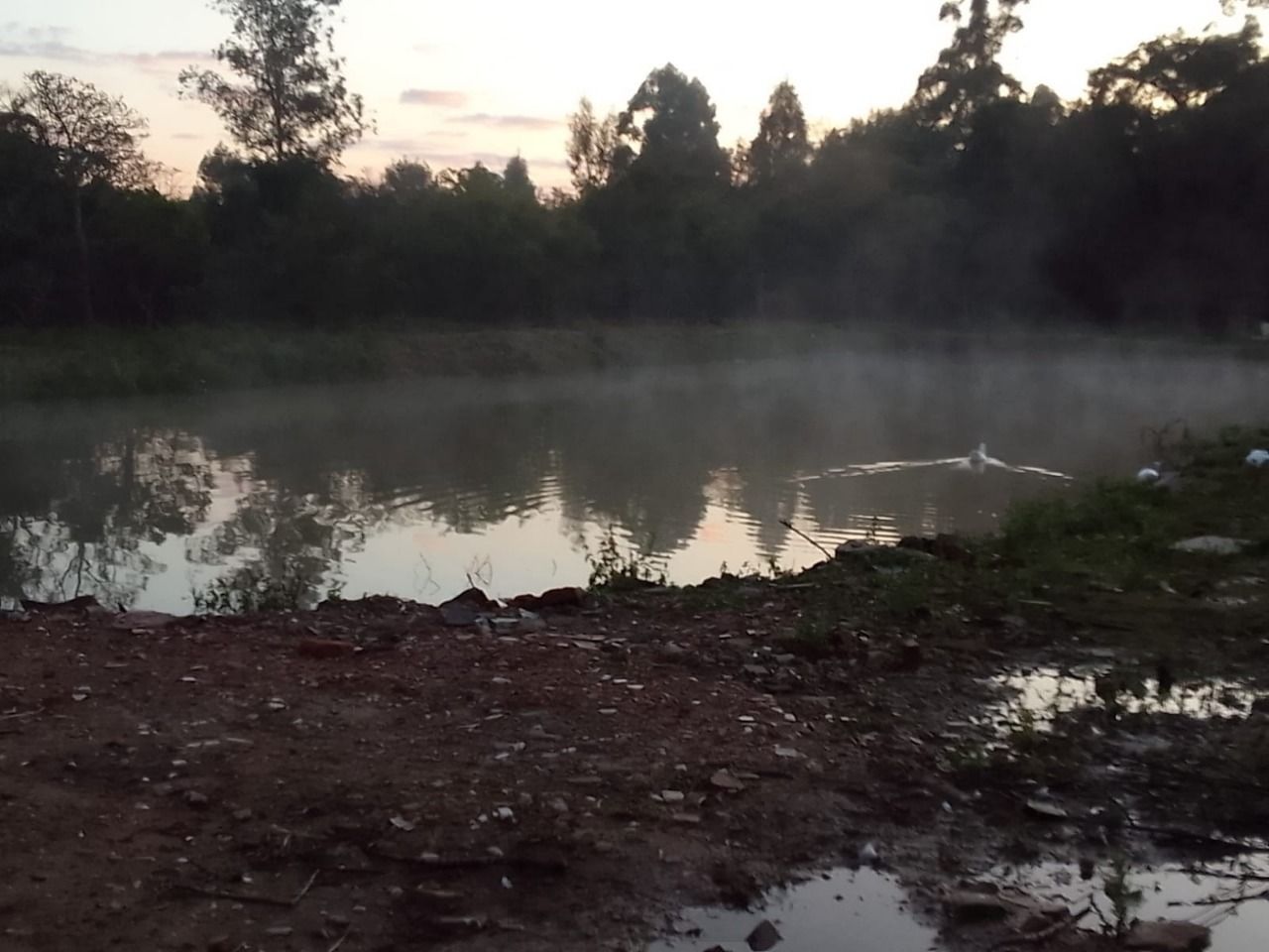 Sítio no Rincão — foto 3