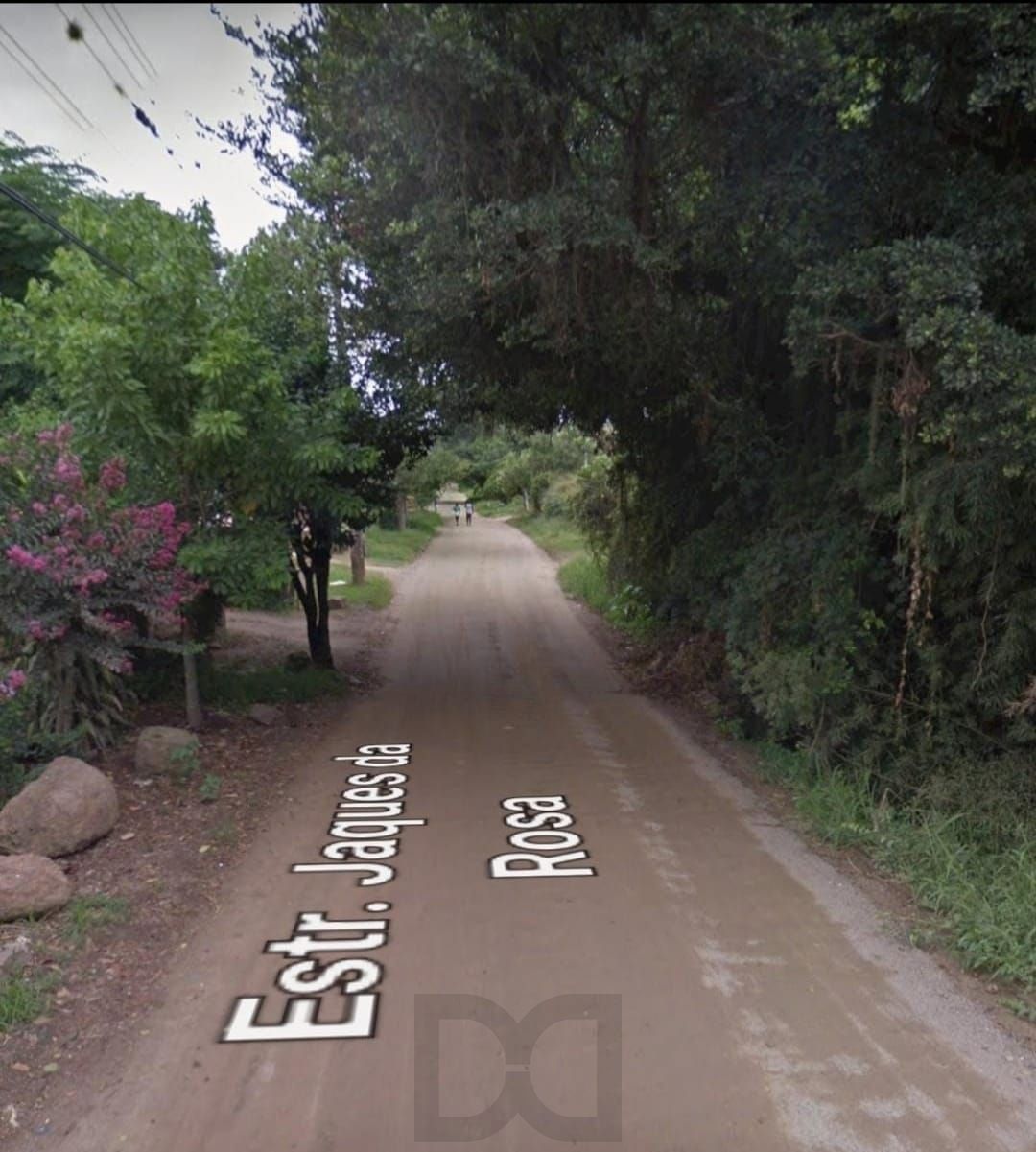 TERRENO NO LAGEADO - 20X50 — foto 2