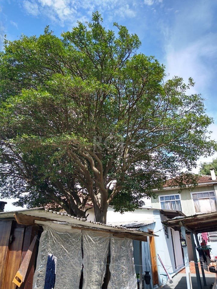 CASA 3D BAIRRO CAMAQUÃ — foto 21