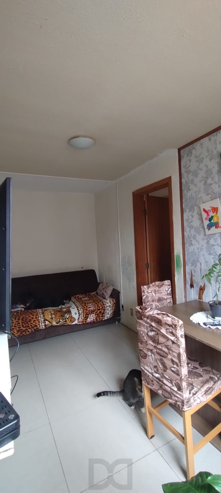 Apartamento no Bairro Vila Nova - 1D — foto 2