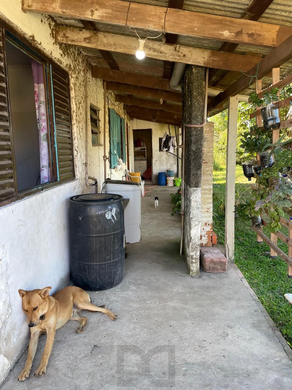 Sitio no bairro Boa Vista - Porto Alegre — foto 22