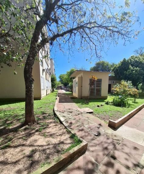 Apartamento no bairro Cavalhada 2 dormitórios com 1 vaga — foto 6