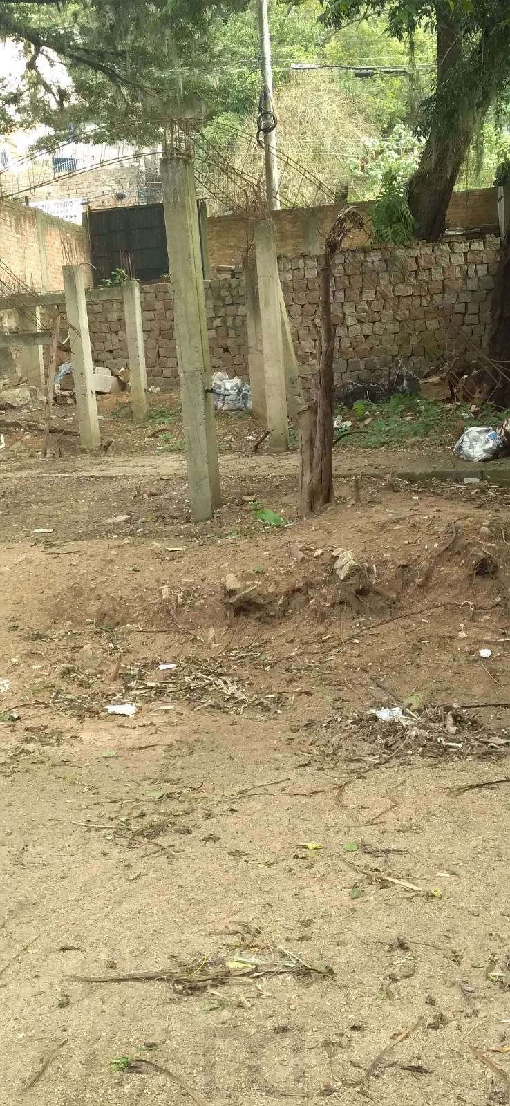Terreno Oscar Pereira — foto 5