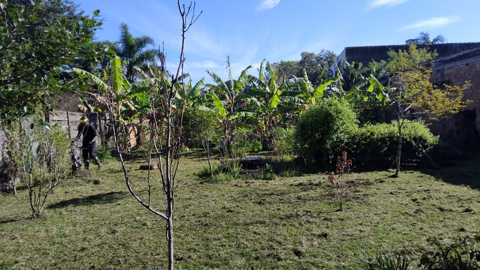 Terreno no Bairro Ponta Grossa — foto 11