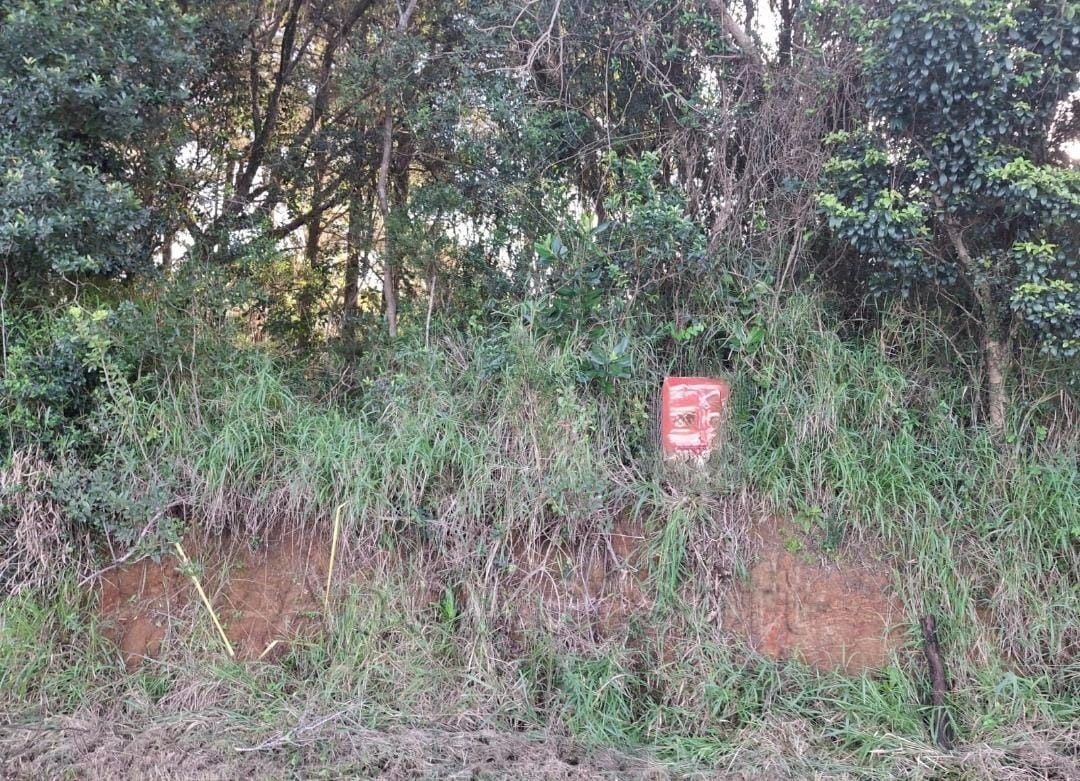Area de terras no bairro Lageado — foto 5
