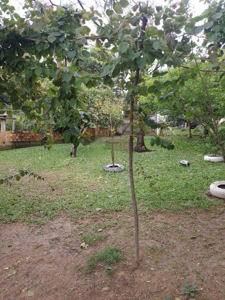 Casa com 3 dormitórios no bairro Restinga — foto 16