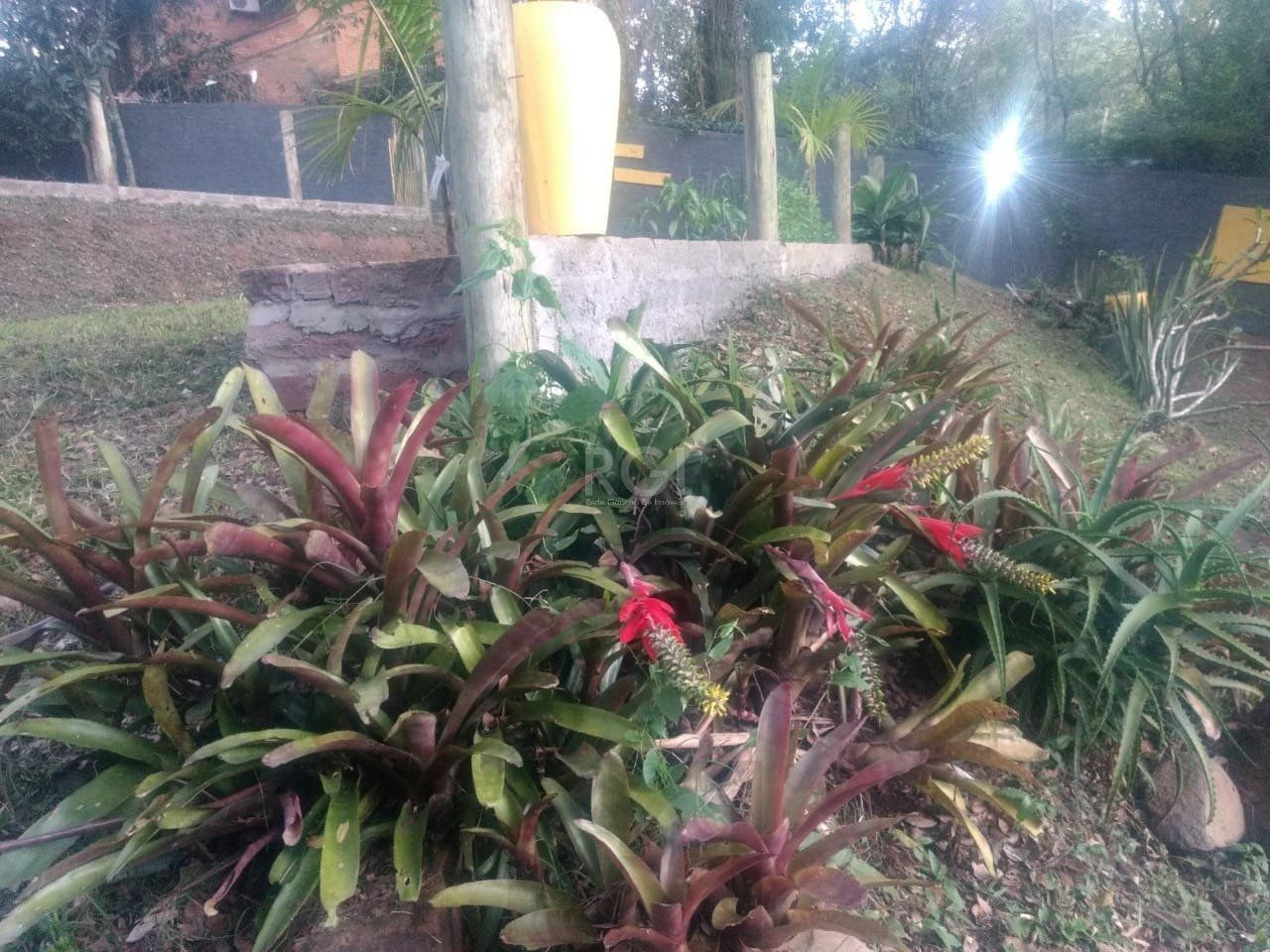 Terreno a venda no bairro Gloria - Av. Oscar Pereira — foto 35