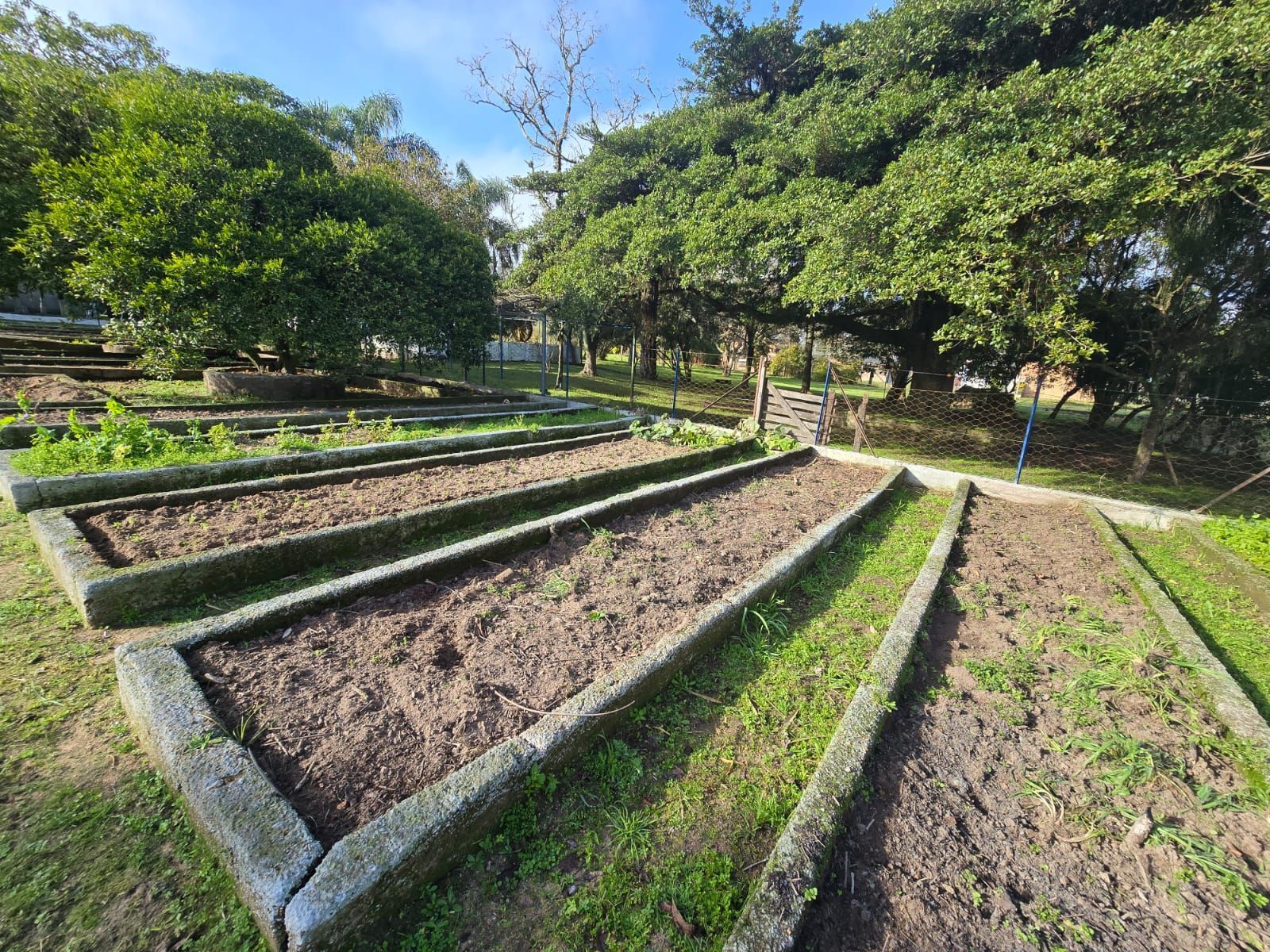 Sitio na Restinga com 2 casas e ótima oportunidade para investimento — foto 4