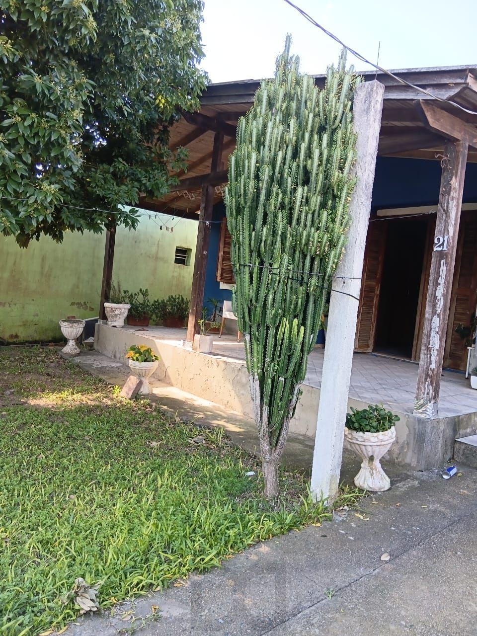 Casa 3 dormitórios- Lami — foto 2