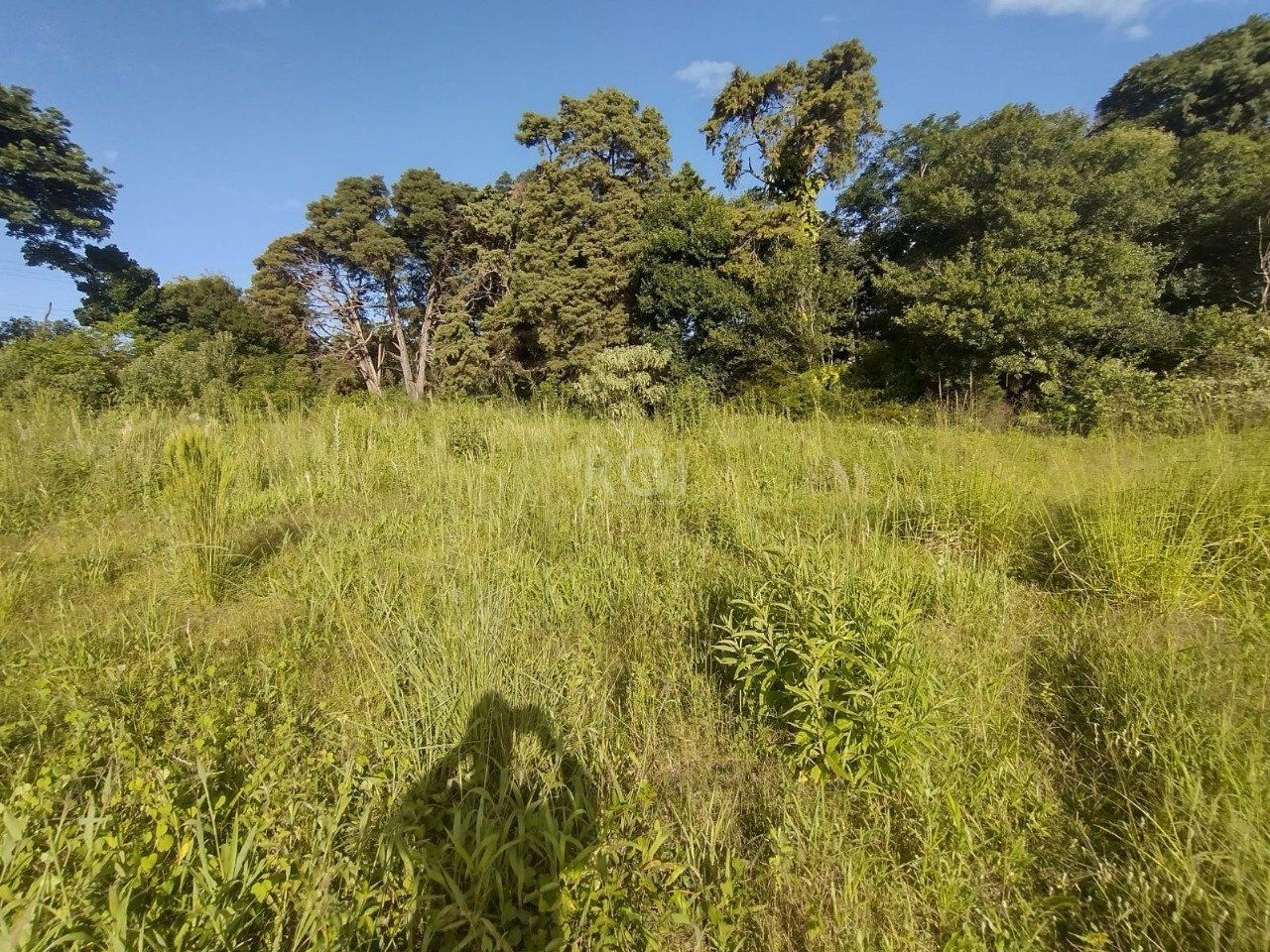 Área de terras no bairro Campo Novo — foto 14