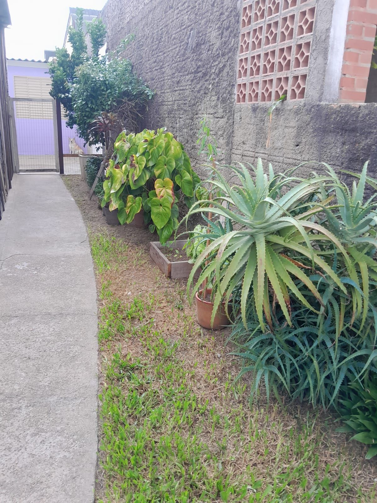 Casa no bairro Hípica - 2 dormitórios — foto 2