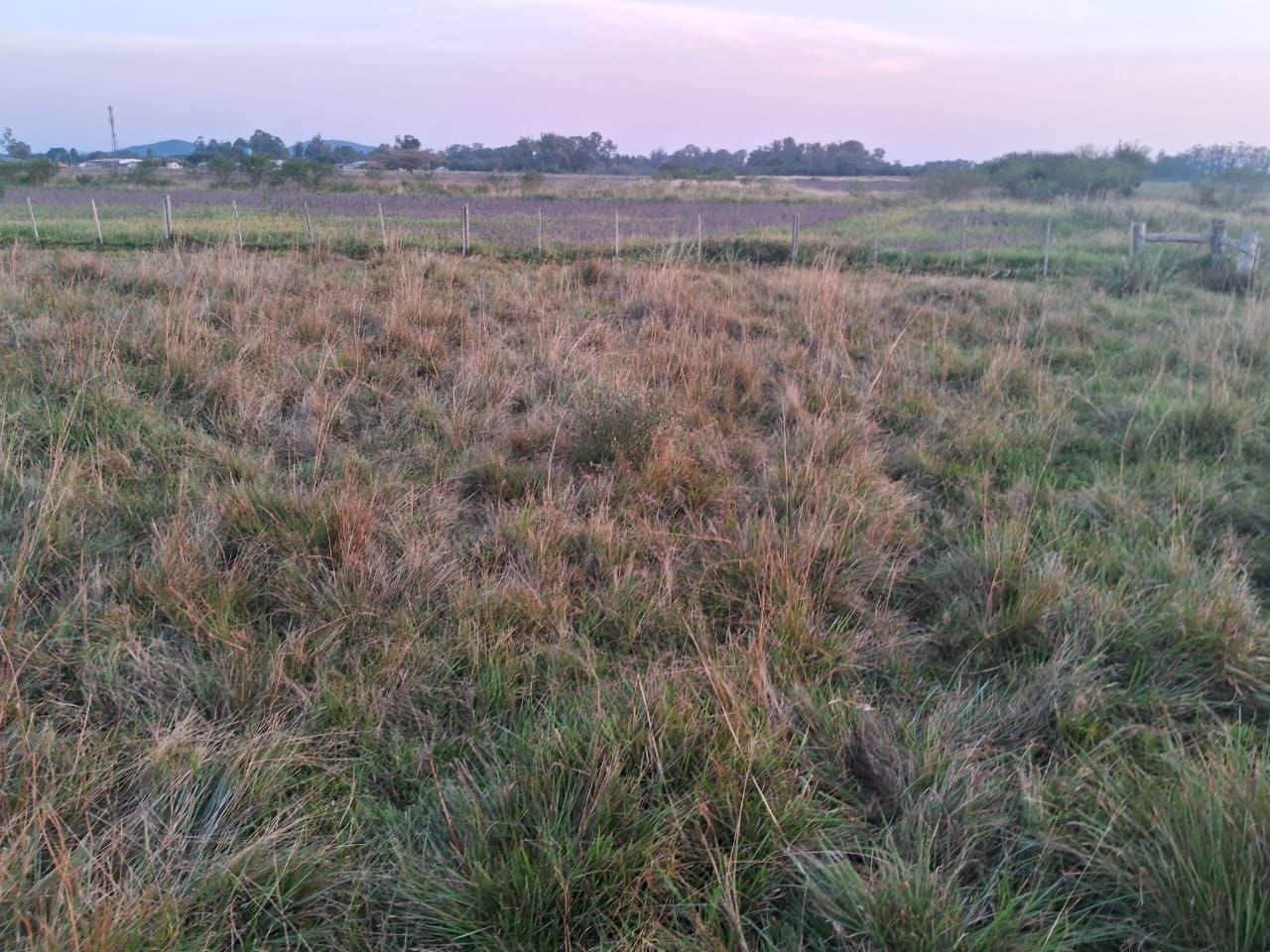 Área de terras no bairro Extrema — foto 9
