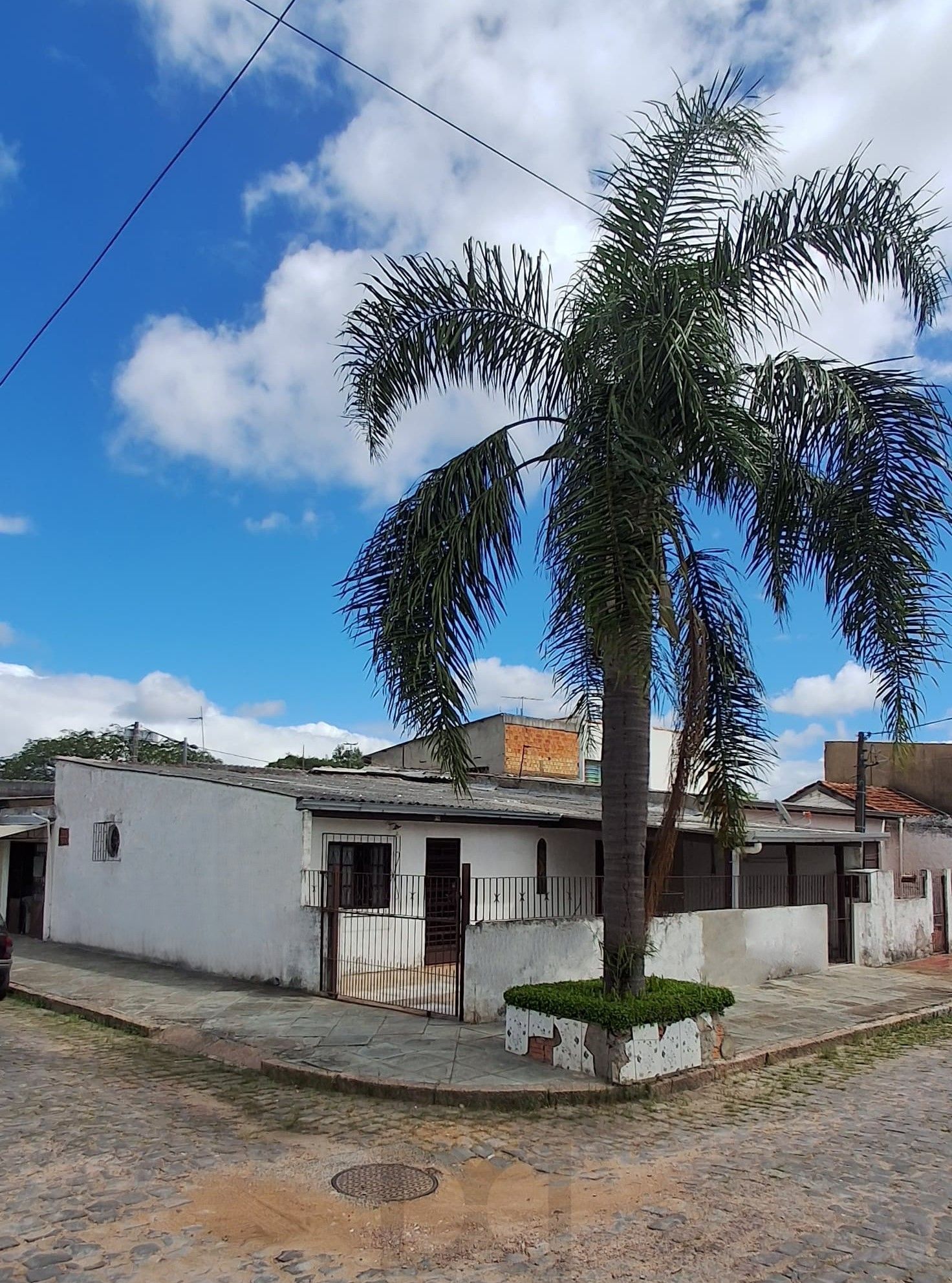 lateral + frente