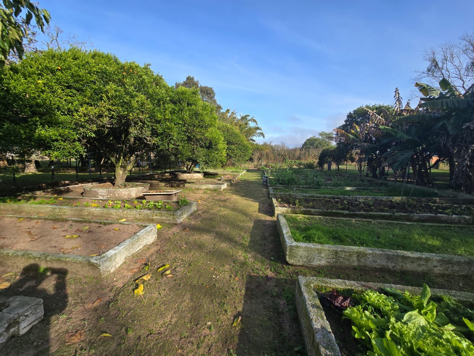 Sitio na Restinga com 2 casas e ótima oportunidade para investimento — foto 3
