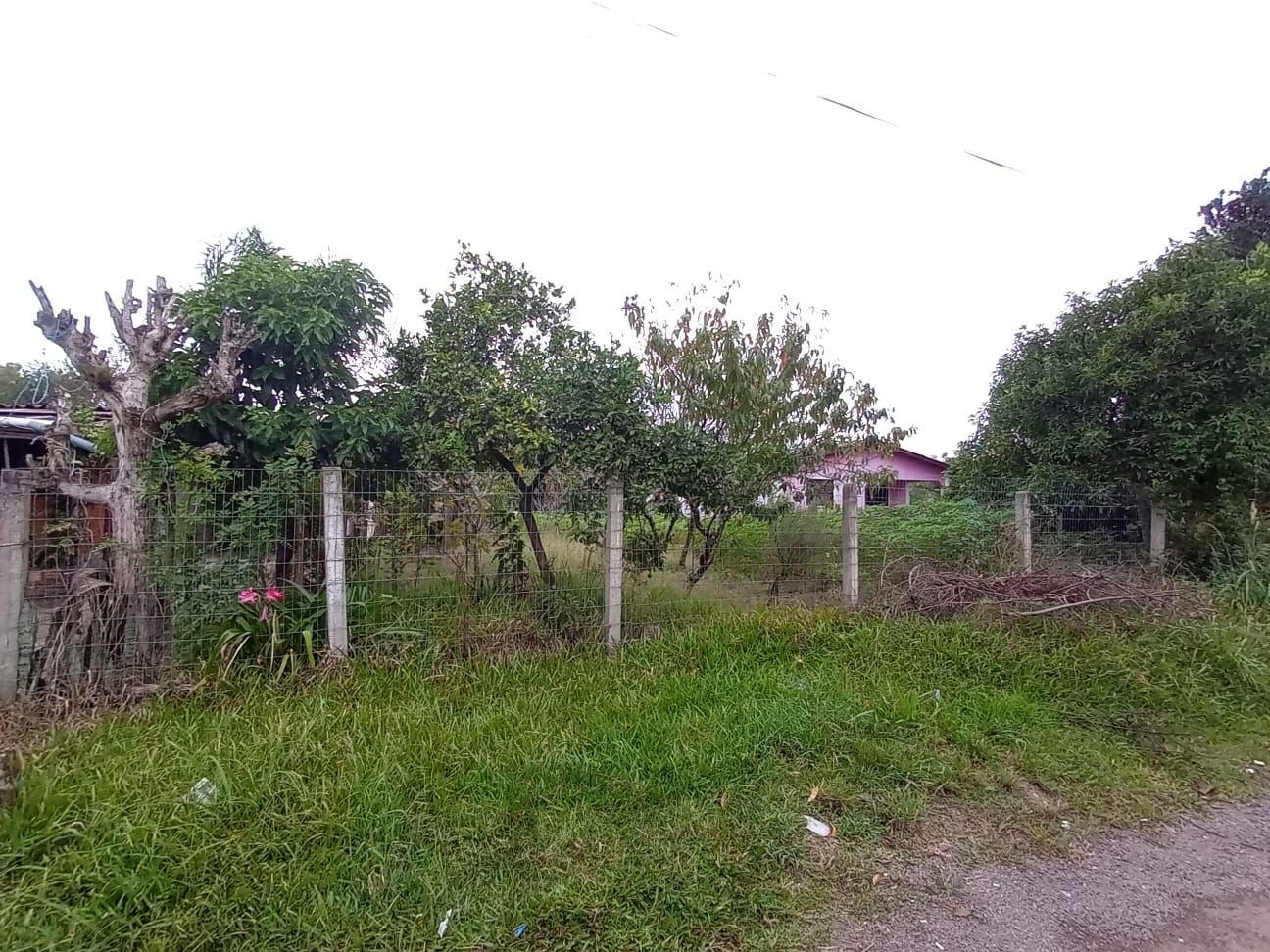 Casa no bairro Lami com terreno de 500 m² — foto 2