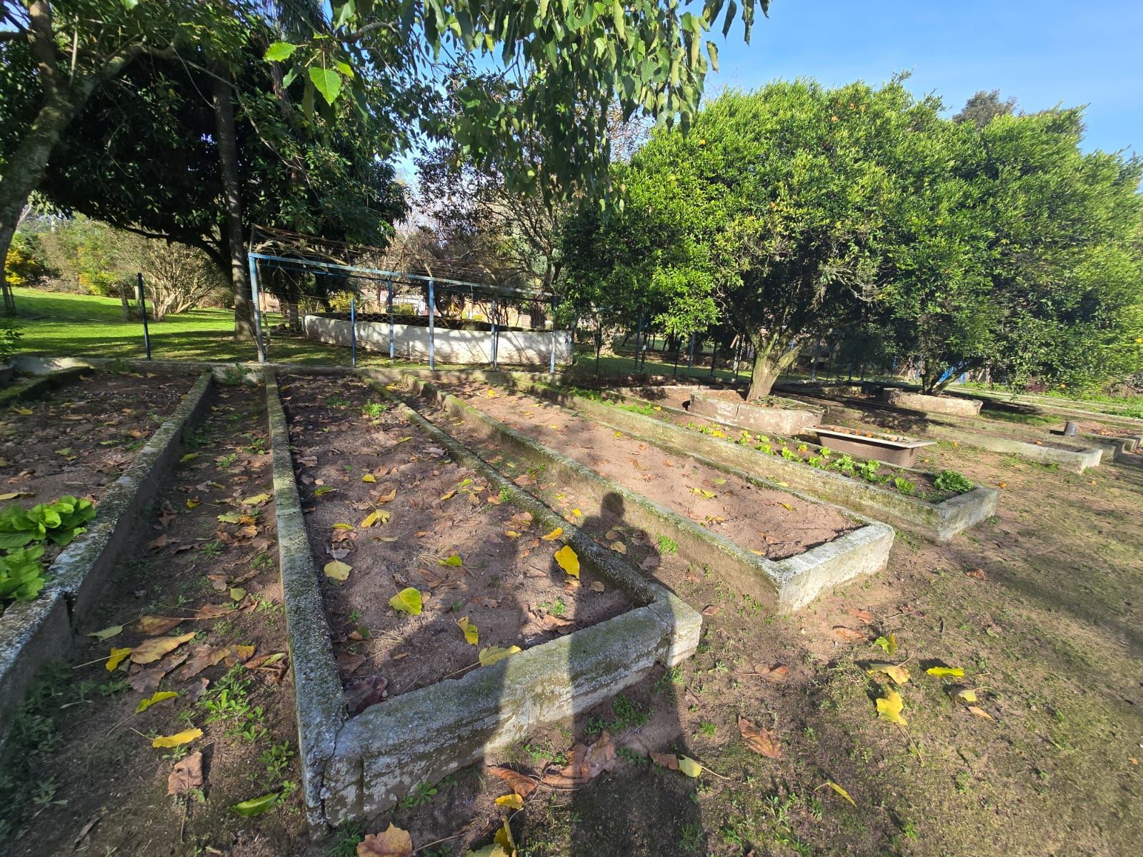 Sitio na Restinga com 2 casas e ótima oportunidade para investimento — foto 11