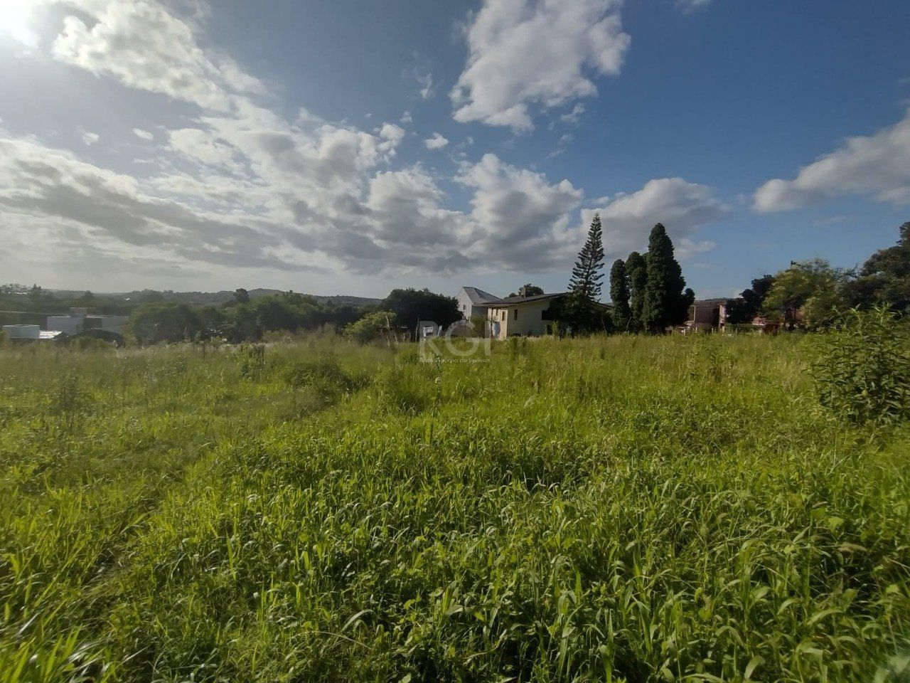 Área de terras no bairro Campo Novo — foto 5