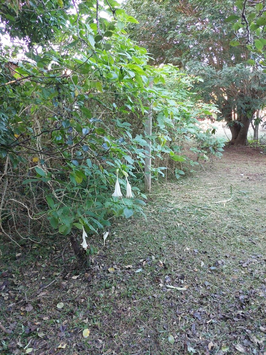 Terreno BELEM NOVO — foto 5