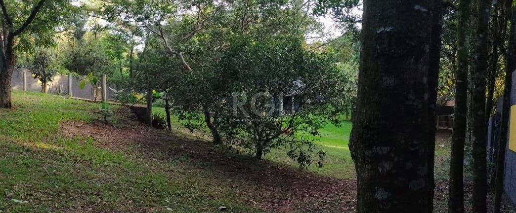 Terreno a venda no bairro Gloria - Av. Oscar Pereira — foto 15