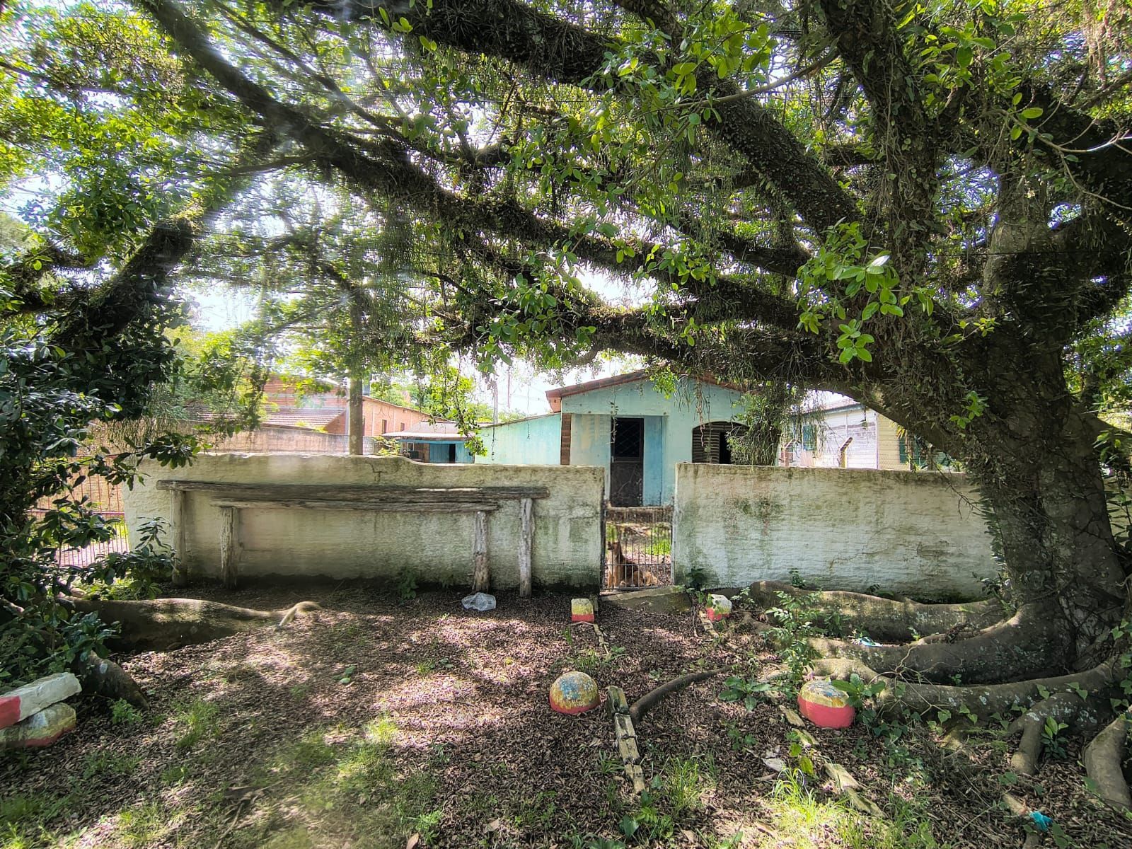 Terreno no Bairro Ponta Grossa — foto 1