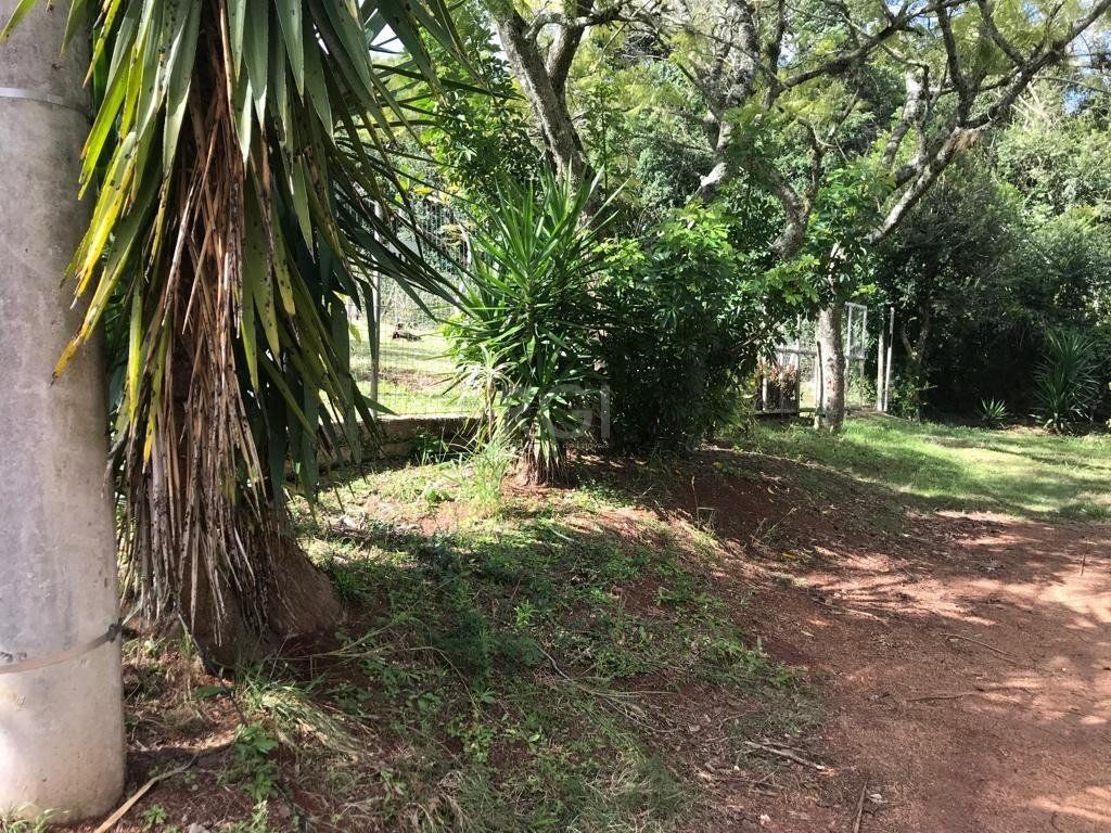 Terreno no bairro Vila Nova — foto 15