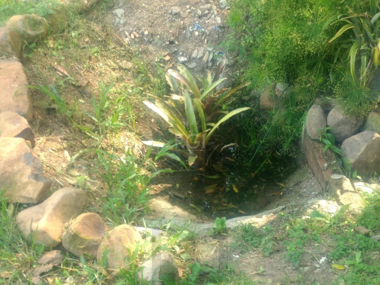 Terreno a venda no bairro Gloria - Av. Oscar Pereira — foto 5