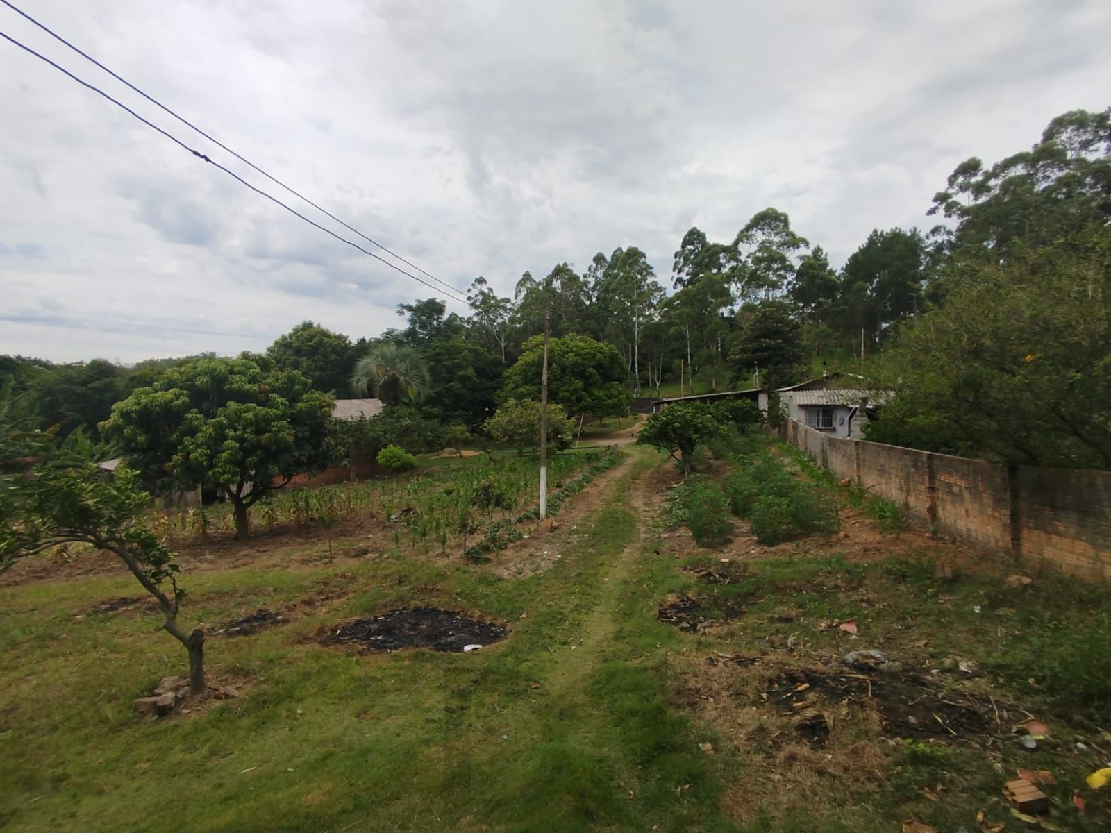 Chácara no bairro Restinga — foto 3