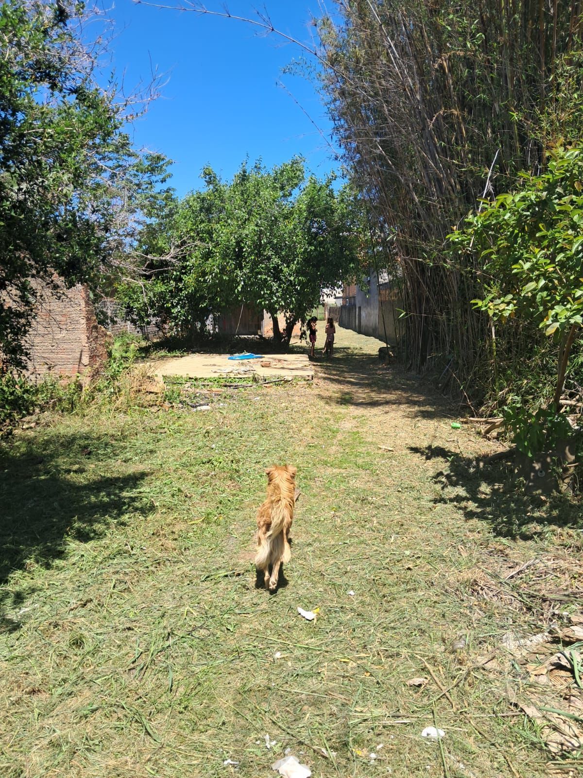 Terreno 11x160 com 2 casas — foto 3