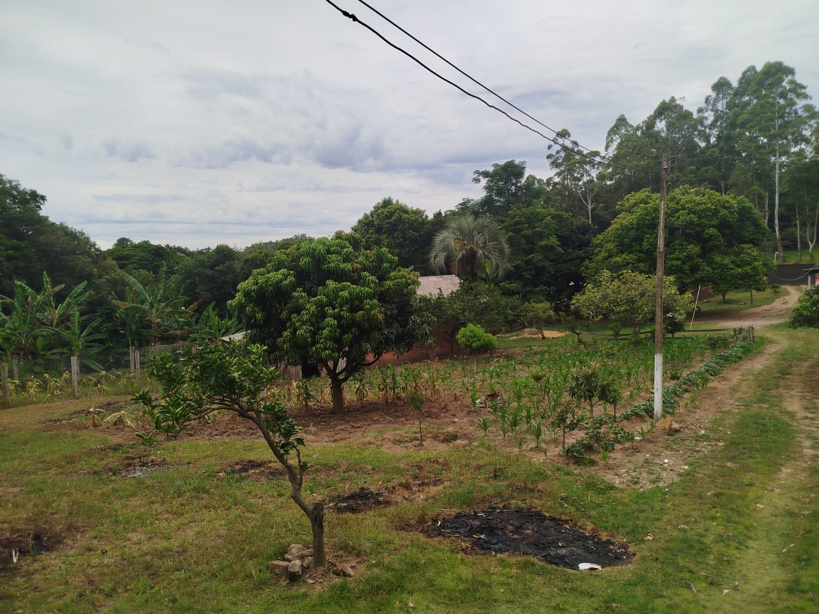 Chácara no bairro Restinga — foto 14