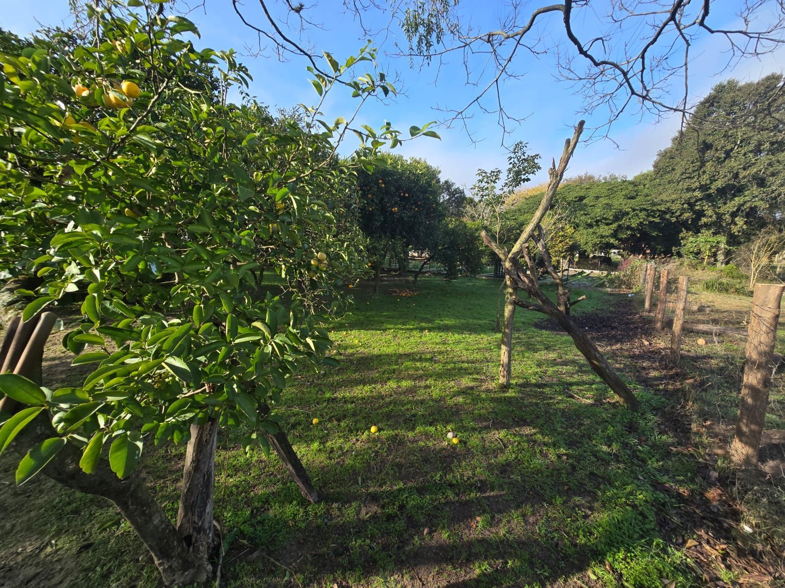 Sitio na Restinga com 2 casas e ótima oportunidade para investimento — foto 20