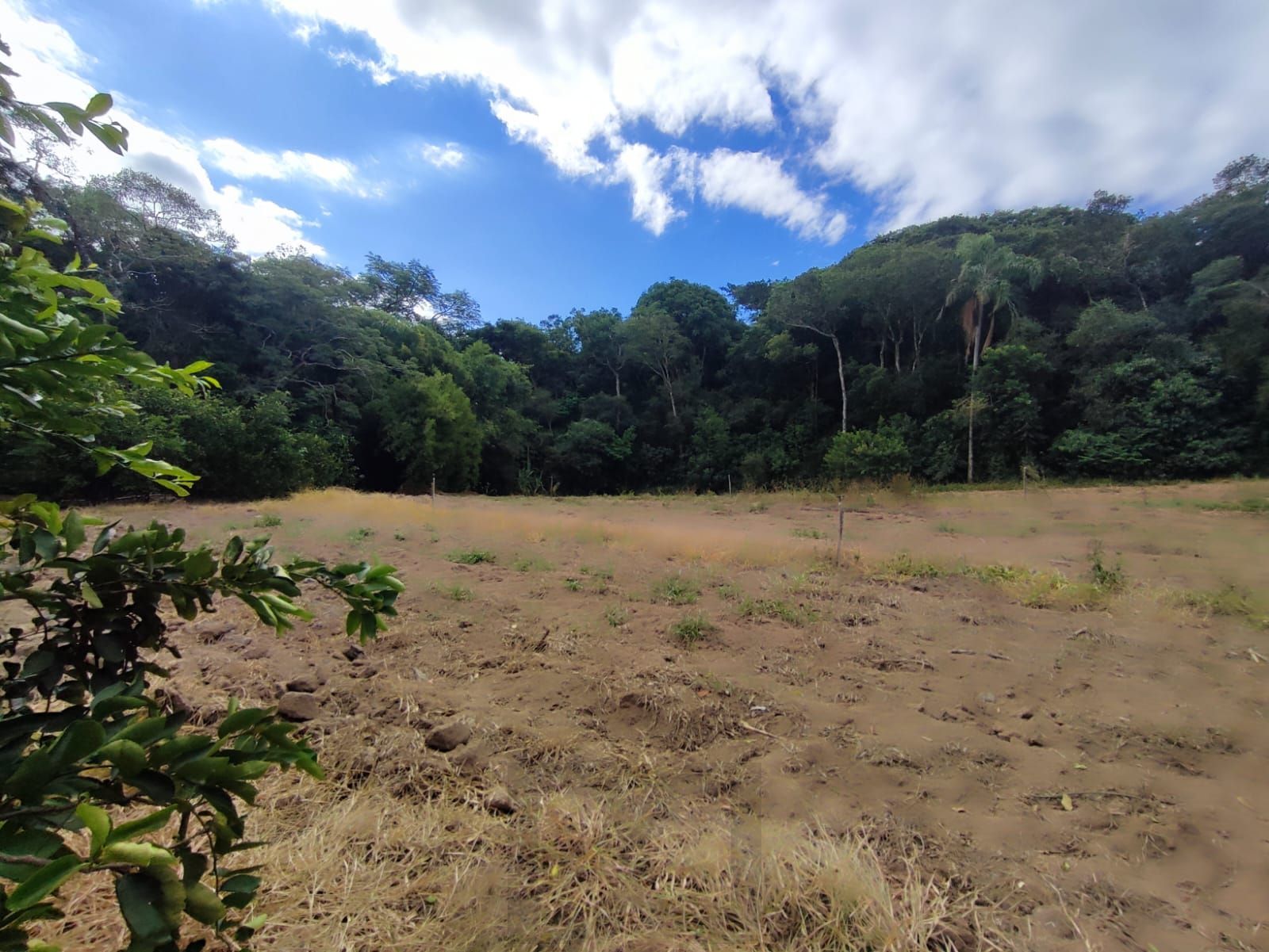 Sitio no bairro Lami — foto 39