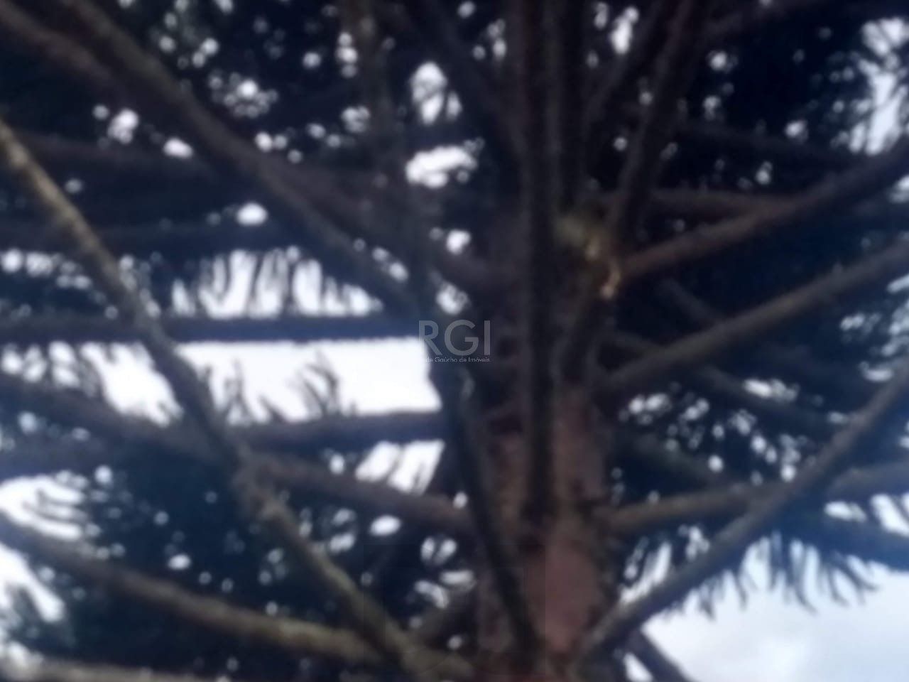 Terreno a venda no bairro Gloria - Av. Oscar Pereira — foto 22