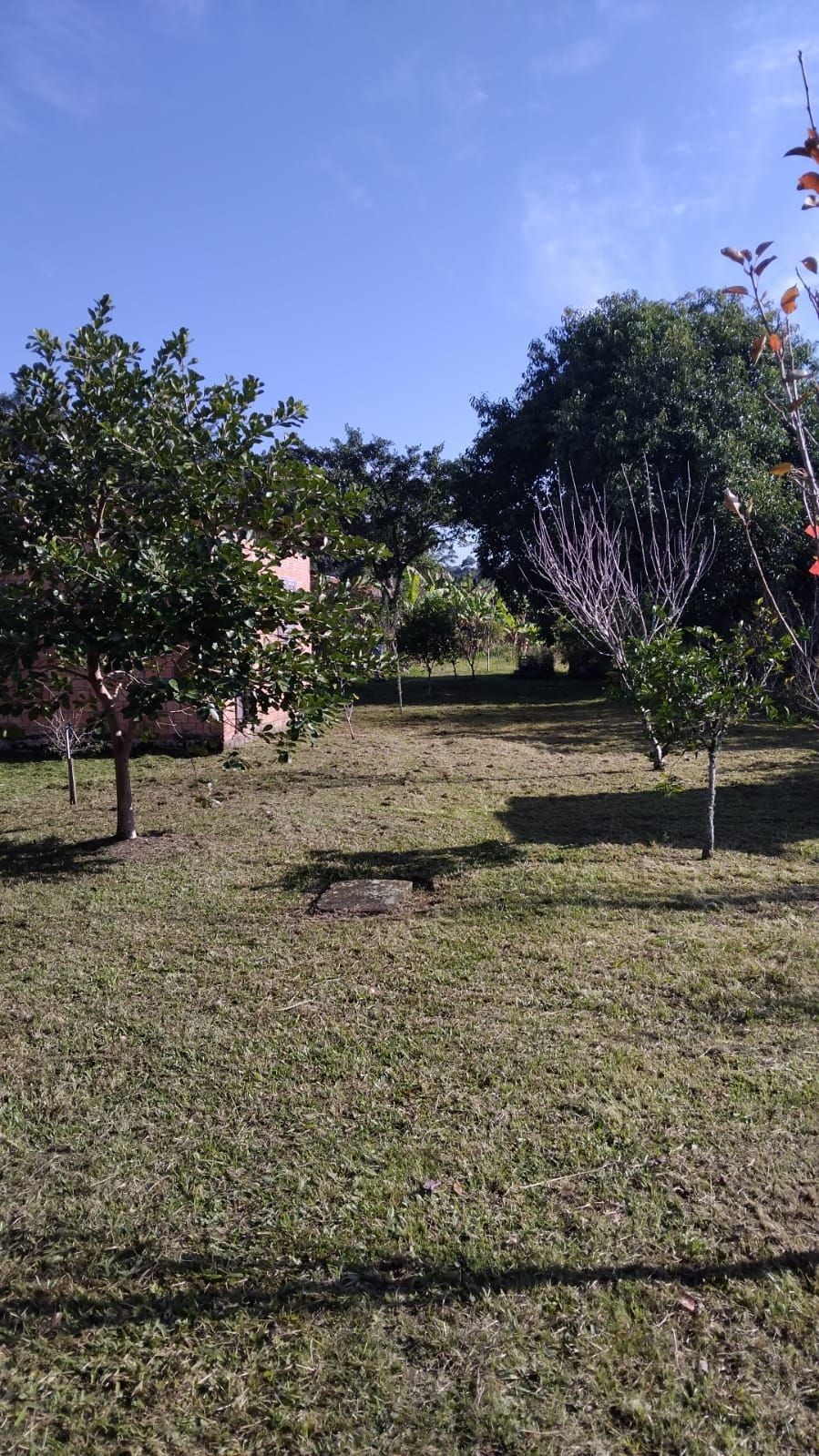 Terreno no Bairro Ponta Grossa — foto 8
